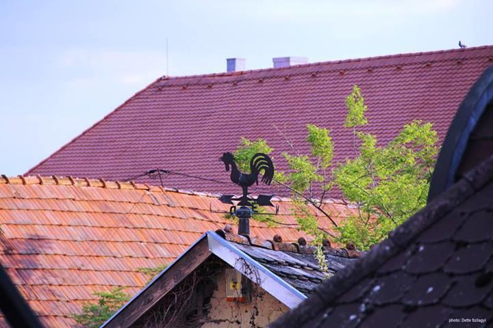 Rozmaringos Udvarhaz Dunafoldvar Buitenkant foto